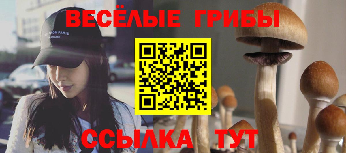 купить наркотики сайты  Гагарин  Псилоцибиновые грибы Cubensis 