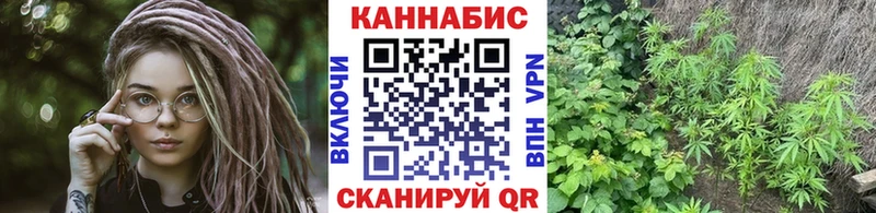 мориарти как зайти  Гагарин  Бошки Шишки семена  где найти  